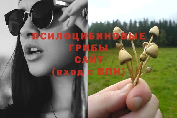 таблы Белокуриха