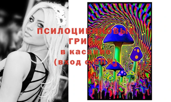 меф Беломорск