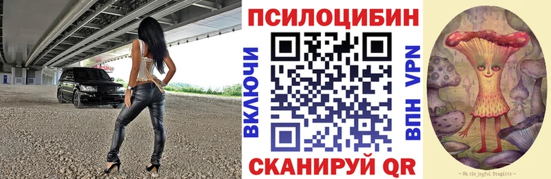 Купить закладки  Верхний Уфалей  Псилоцибиновые грибы Cubensis 